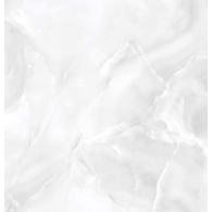 ONYX SILVER POLISHED 600X600 GAT.1