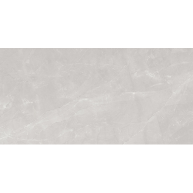 COR_LEO GREY POLISHED 1200X2400 G.1