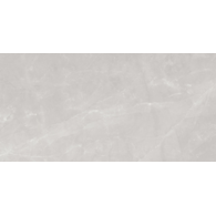 COR_LEO GREY POLISHED 1200X2400 G.1