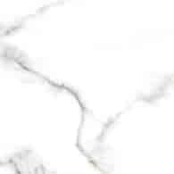 CARRARA POLISHED 600X600 G.1