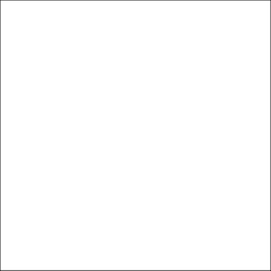 WHITE POLISHED 600X600 G.1