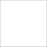WHITE POLISHED 600X600 G.1