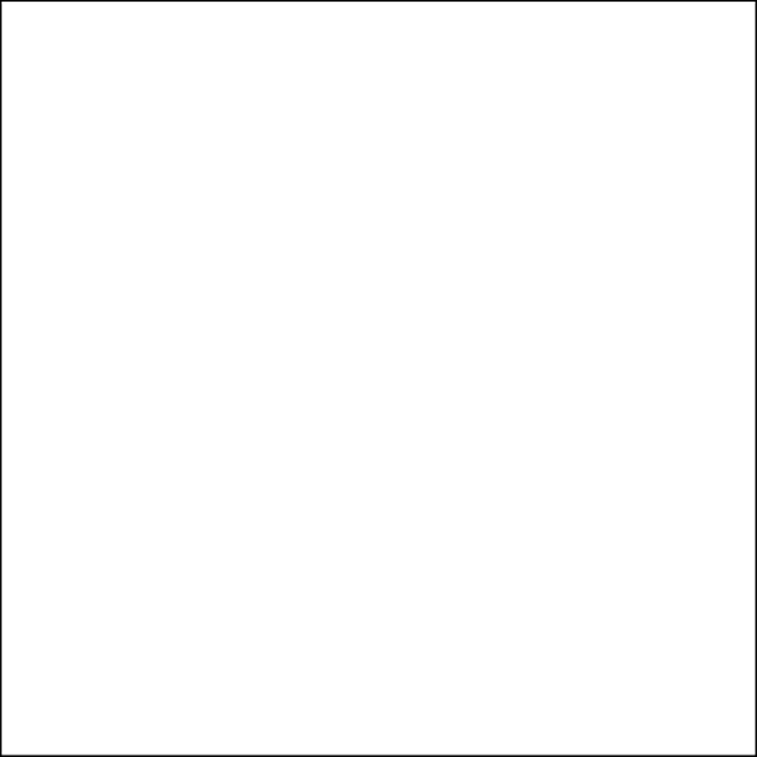 WHITE POLISHED 600X600 G.1