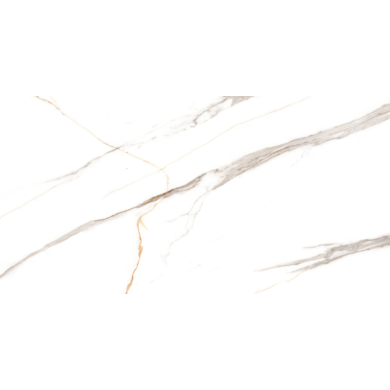 ALBATROS CARVING 600X1200 G.1