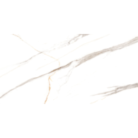 ALBATROS CARVING 600X1200 G.1