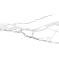 ROYAL STATUARIO POLISHED 600X1200 G.1