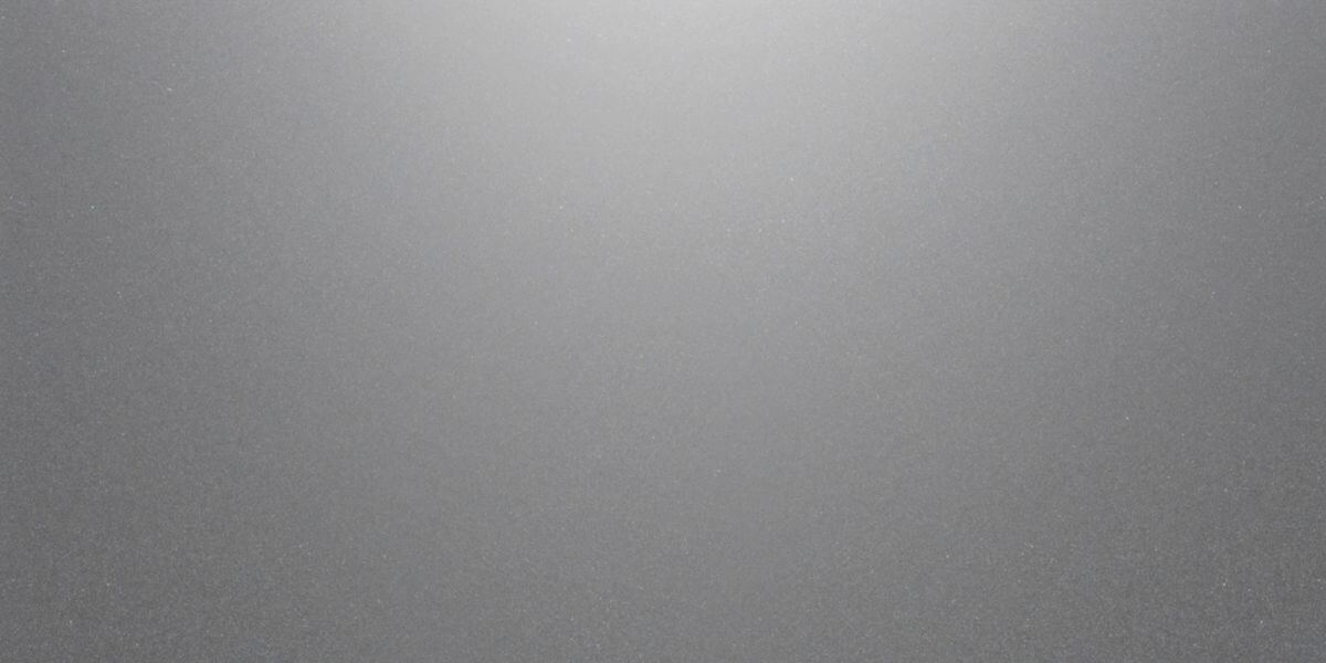 GRES CAMBIA GRIS LAPPATO 597X297 G.2