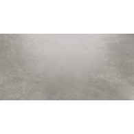 GRES TASSERO GRIS LAPPATO 1197X597 G.2