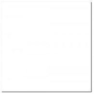 STARDUST WHITE SUGAR 600X600 G.1