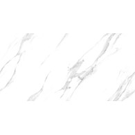 ZENITH SATUARIO POLISHED 600X1200 G.1