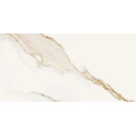 CCR STATUARION GOLD RETT 30X60 G.2